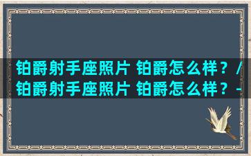 铂爵射手座照片 铂爵怎么样？/铂爵射手座照片 铂爵怎么样？-我的网站